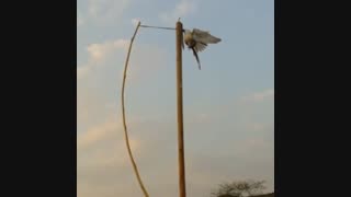 درنجوک