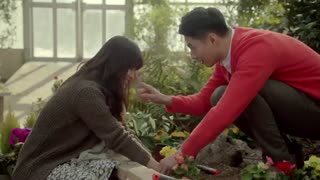 نماهنگی زیبا از وزش باد زمستانی