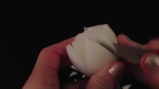 میوه آرایی - گل با پیاز