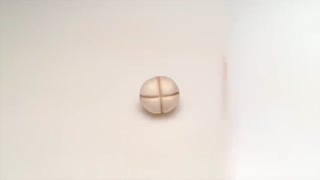 حکاکی طرح زدن روی قارچ