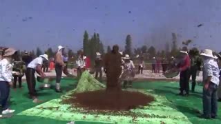 رکورد پوشش بدن با زنبور عسل