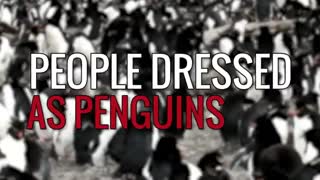 رکورد پوشش بدن با مارهای سمی و خطرناک