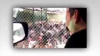 حتما ببینید