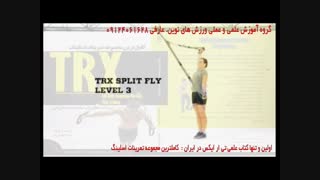 تی ار ایکس. حرکت splity fly
