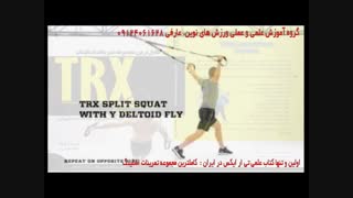 تی ار ایکس. حرکت split squat with m deltoid fly