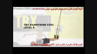 تی ار ایکس. حرکت hamstring curl