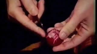 تزیین تربچه....