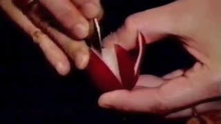 تربچه گل ساده