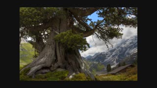 آهنگ حالم بده سامان جلیلی ( توضیحات مهم )