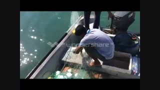 یک روز تعطیل همراه دوستان ماهیگیری بندرکلاهی