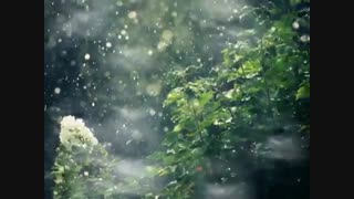 مشترک مورد نظر: بتول مبشری با صدای شهرام برازنده