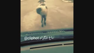 اینم یه ویدیو شااادد اهااااا