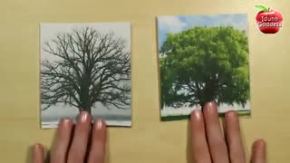 تابلو عکس سه بعدی