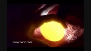 نوربینی تخم