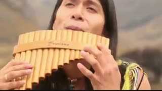 ساز دهنی امریکای جنوبی