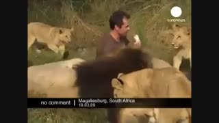 شیر و انسان