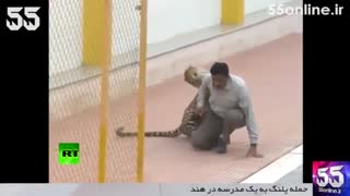 حمله پلنگ به یک مدرسه در هند