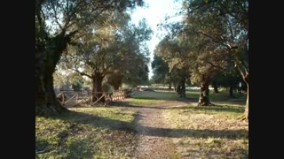 لطفا چند دقیقه دعاکنید برای . . .descanse en paz mi querido amigo