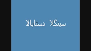 سینگلا کیان؟ ینی کسایی که دوس پسریا دخترندارن