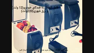 یخچال و گرمکن فندکی ماشین