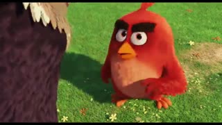 THE ANGRY BIRDS MOVIE