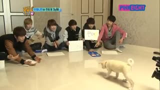 برنامه ای با حضور گروه های INFINITE و Apink - قسمت دوم ( شب بخیرررررر )