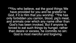 سوره بقره با معنی انگلیسی