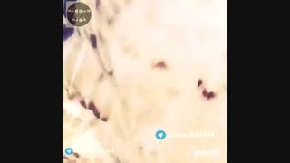 چالش سلفی مدل جدید