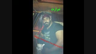 همه  اشرار ایران