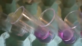 ژله رنگین کمان