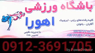 هاپکیدو - استاد نقیبی - حرکت وارو