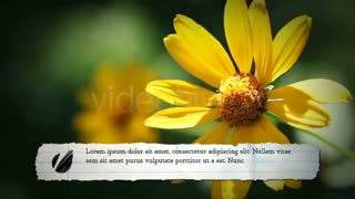 پروژه آماده افترافکت – ماشین تحریر