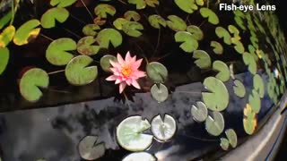 لنز عکاسی موبایل 3 کاره