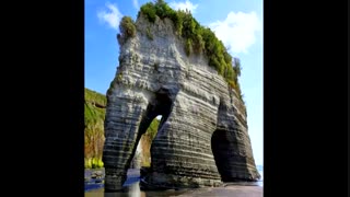 صخره ای شبیه فیل.. جالبه