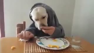 اگه نبینین از دست رفته