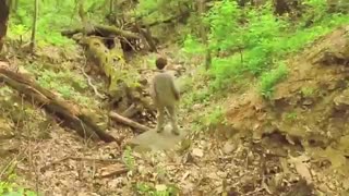 The Most Dangerous Game - Short Film