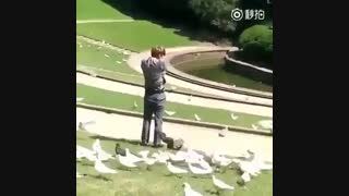 ترسیدن سوهو در پارک