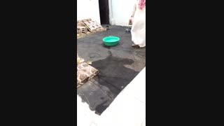 عرب خر