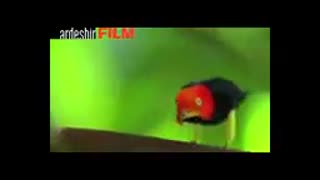 میکس فوق العاده خنده دار از حیوانات