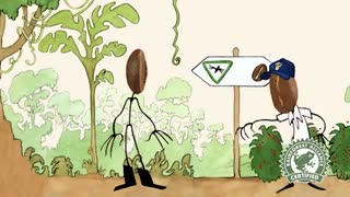 تاریخچه چیبو