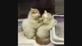 یه ماساژ عالی!!!!