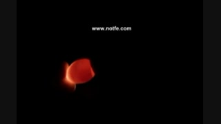 کندلینگ (نطفه سنجی )تخم نطفه دار