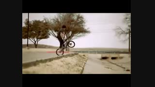 فیزیک همان زندگی است