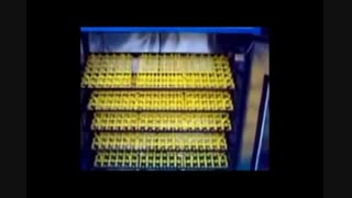 دستگاه جوجه کشی قدرتمند۵۴۰ تایی