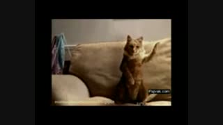 pitbull feat.Ne-Yo  اهنگ زیبای