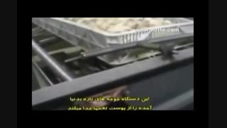 جدا کردن جوجه های بیچاره در کارخانه جوجه کشی