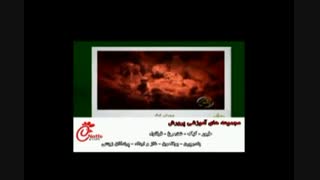 چگونگی پرورش پرندگان