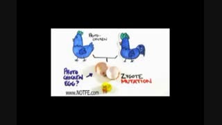 نظرتون چیه اول تخم مرغ بوده یا مرغ؟