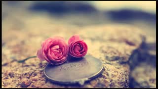 بچه ها واااقعااا متاسفممم ببخشید داداشی توضیحات