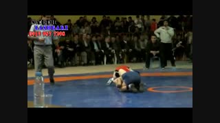 کشتی آزاد زیبا